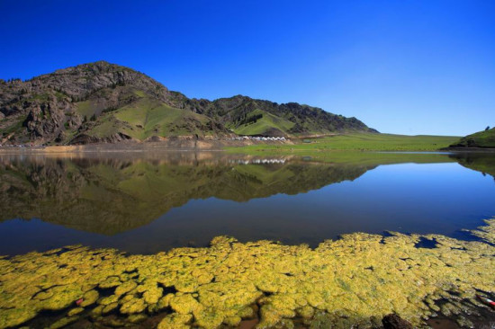 �½���Ӱ-��������