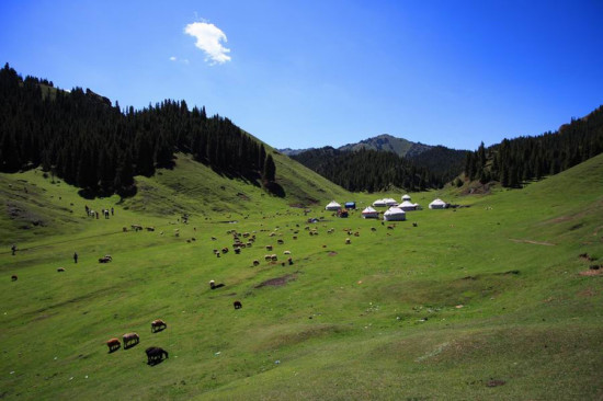 �½���Ӱ-��������