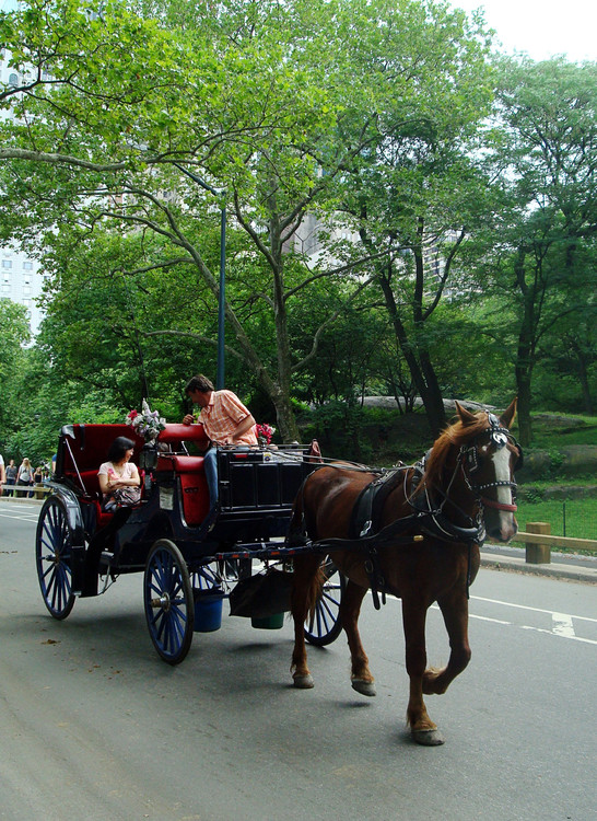 ŦԼ���빫԰-������Ӱ