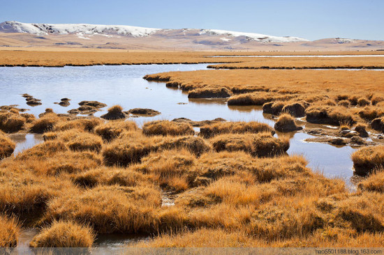 �����������-���ϵ���