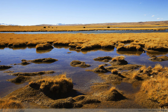 ����<span class=lxw>[ע: ����������λ���л����񹲺͹����ϱ����ظ�ԭ�����ϲ�������78��25����99��06�䣬��γ26��44����36��32��֮�䡣]</span>����<span class=lxw>[ע: ������-�����أ�λ��������������ƫ�����ƹ���ɽ�������ƹ���ɽ֮�䡣���뵱���ؽ���,�������١�������������������硢�������࿿�������������ڡ�]</span>���-���ϵ���