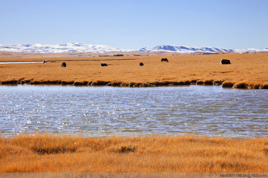 �����������-���ϵ���