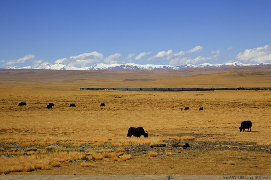 �����������-���ϵ���