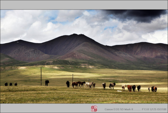 ��ص���̨---��ԭ-��Ȼ�羰