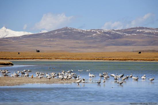 �����ˮ�����-��Ȼ�羰