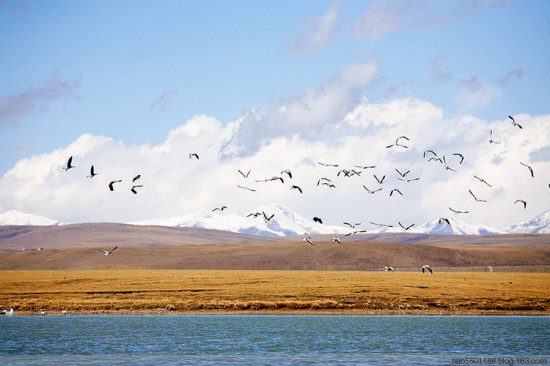 �����ˮ�����-��Ȼ�羰