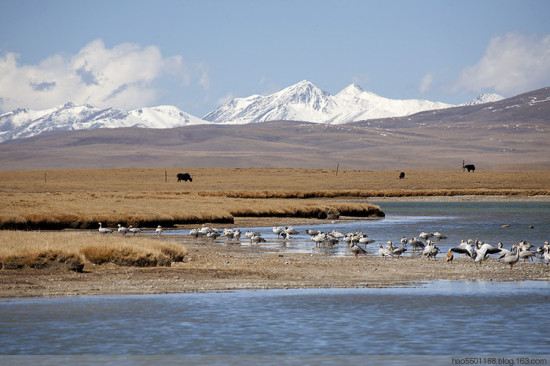 �����ˮ�����-��Ȼ�羰