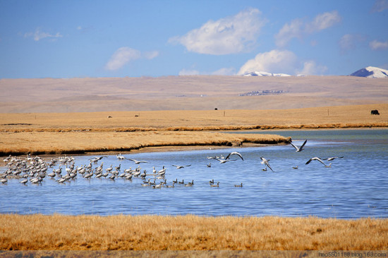 �����ˮ�����-��Ȼ�羰