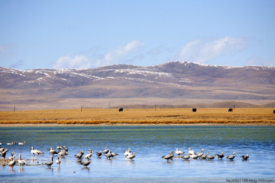 �����ˮ�����-��Ȼ�羰