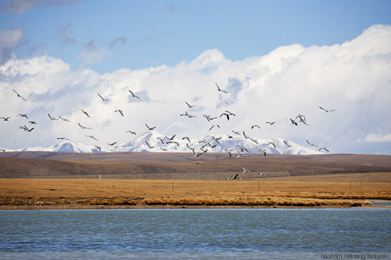 �����ˮ�����-��Ȼ�羰