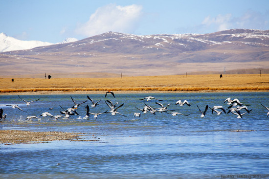 �����ˮ�����-��Ȼ�羰