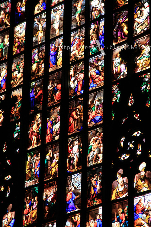 ���������-������Ӱ