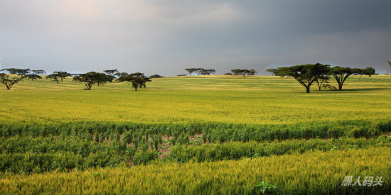 �����Ƿ��-��Ȼ�羰