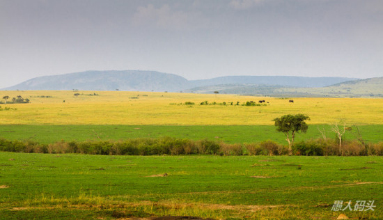 �����Ƿ��-��Ȼ�羰