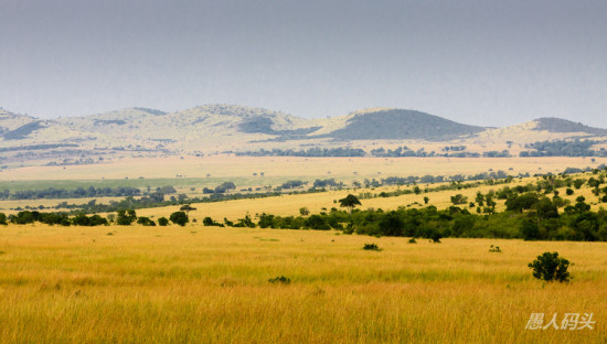 �����Ƿ��-��Ȼ�羰