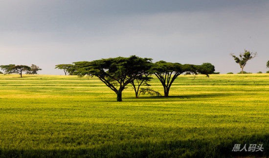 �����Ƿ��-��Ȼ�羰