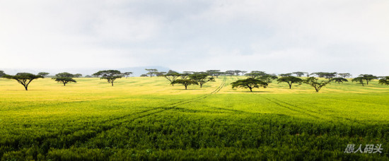 �����Ƿ��-��Ȼ�羰