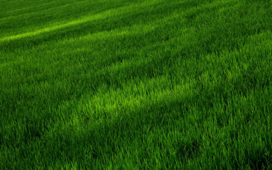 ��ɽ��Ĳ�ԭ���-��Ȼ�羰