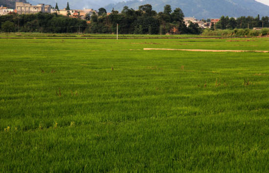 ��ɽ��Ĳ�ԭ���-��Ȼ�羰