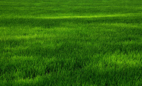 ��ɽ��Ĳ�ԭ���-��Ȼ�羰