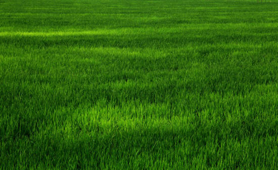 ��ɽ��Ĳ�ԭ���-��Ȼ�羰