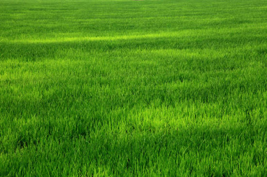 ��ɽ��Ĳ�ԭ���-��Ȼ�羰