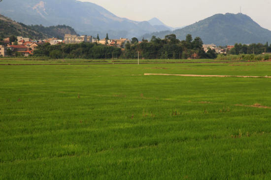 ��ɽ��Ĳ�ԭ���-��Ȼ�羰