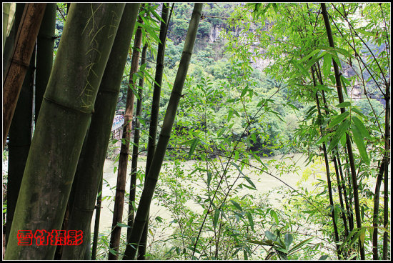 ���Ļƹ����ٲ�-���ϵ���