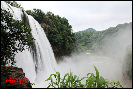 ���Ļƹ����ٲ�-���ϵ���