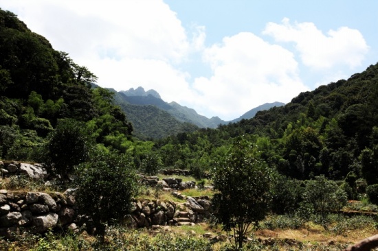 �羰��߶���-��Ȼ�羰