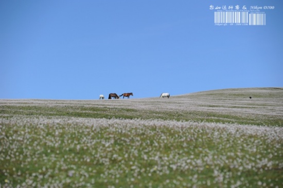 ��Խ�����ߣ����ع���-���ϵ���