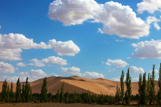 ��ɳɽ����Ȫ-��������