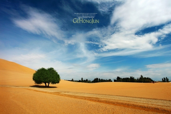 ��ɳɽ����Ȫ-��������