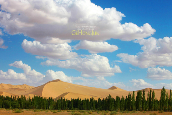 ��ɳɽ����Ȫ-��������