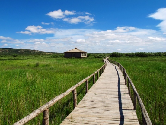 ����ŵ�������к�����ˮƽ��-��Ȼ�羰