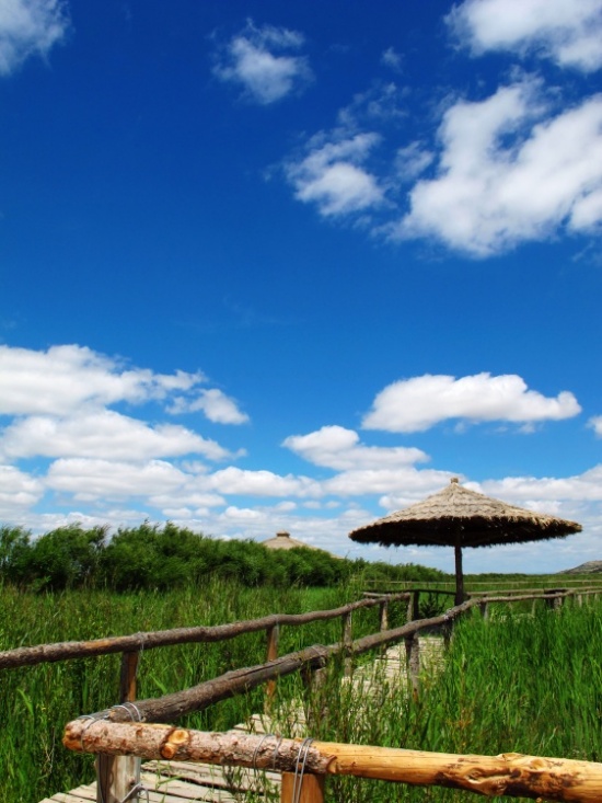 ����ŵ�������к�����ˮƽ��-��Ȼ�羰