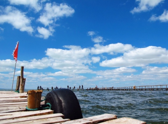 ����ŵ�������к�����ˮƽ��-��Ȼ�羰