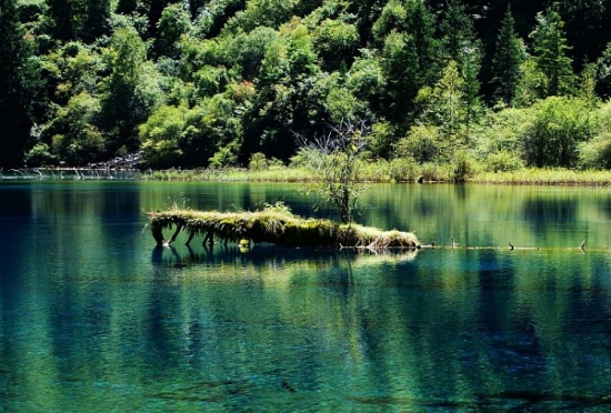 �����еľ���-��Ȼ�羰