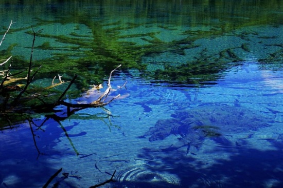 �����еľ���-��Ȼ�羰