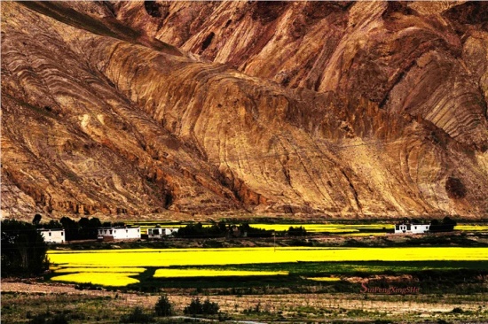 ��磭2011ϣ������Ұ-��Ȼ�羰