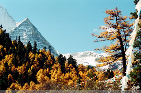 �Ƕ�����ɽ-���ϵ���