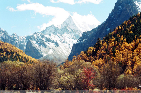 �Ƕ�����ɽ-���ϵ���