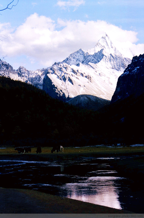 �Ƕ�����ɽ-���ϵ���