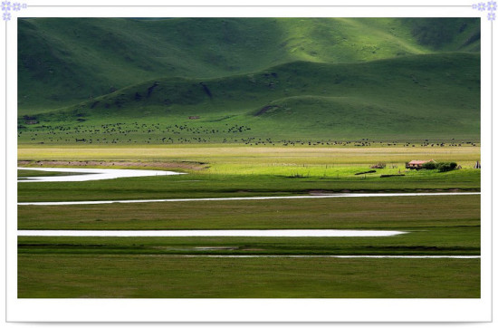 ���Ӻ�ԭ��ԭ���-���ϵ���