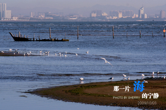 ��һƬ��������-��Ȼ�羰