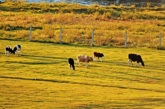 ��ɫ�Ĳ�ԭ-��Ȼ�羰