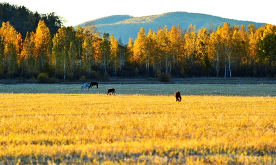 ��ɫ�Ĳ�ԭ-��Ȼ�羰