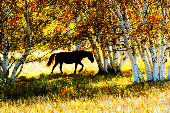 ��ɫ�Ĳ�ԭ-��Ȼ�羰