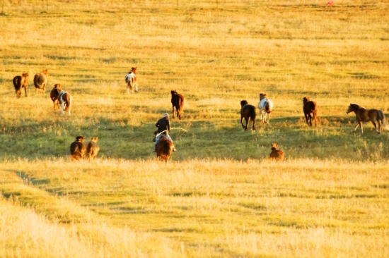 ��ɫ�Ĳ�ԭ-��Ȼ�羰