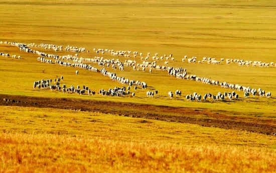 ��ɫ�Ĳ�ԭ-��Ȼ�羰